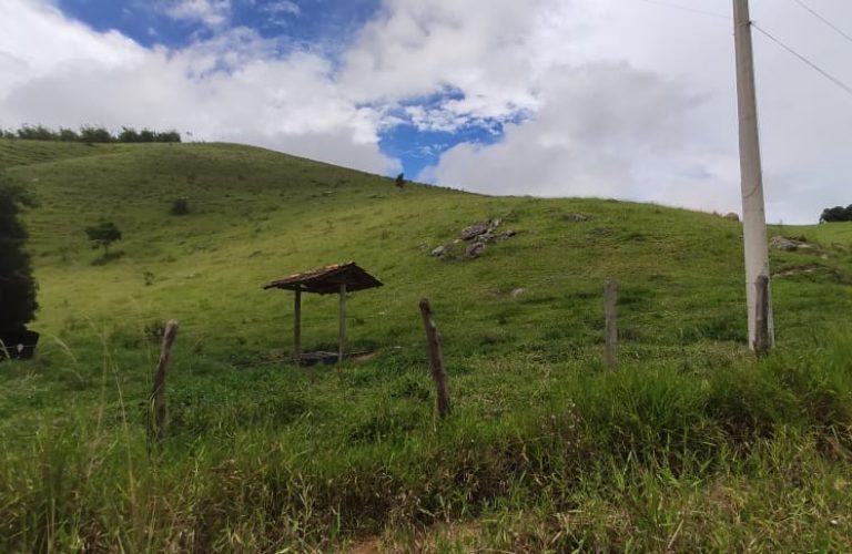Sítio para Agricultura e Investimento - São Luís e Catuçaba (campo aberto)